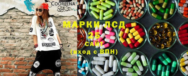 прущие грибы Вязники