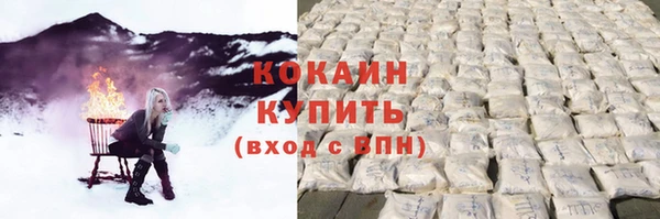 прущие грибы Вязники