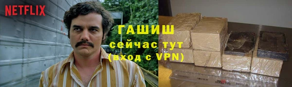 прущие грибы Вязники