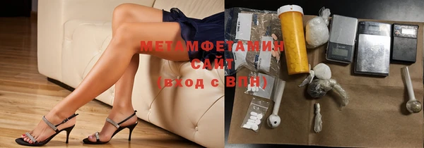 прущие грибы Вязники