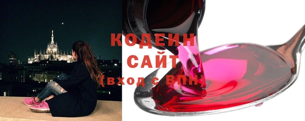 прущие грибы Вязники
