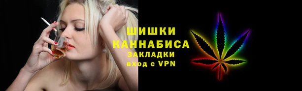 прущие грибы Вязники