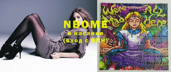 прущие грибы Вязники