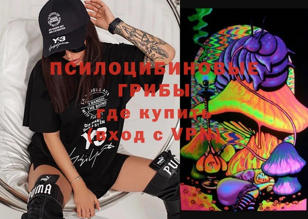 прущие грибы Вязники