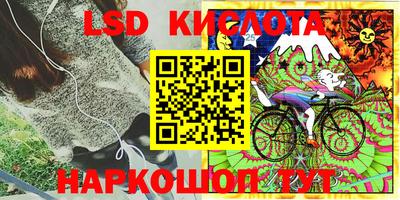 spice Можайск