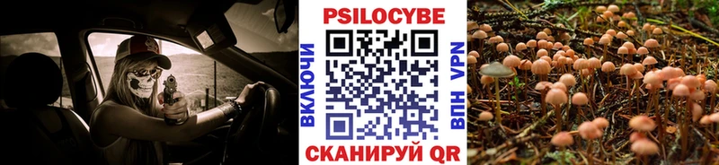 как найти закладки  Обь  Галлюциногенные грибы прущие грибы 