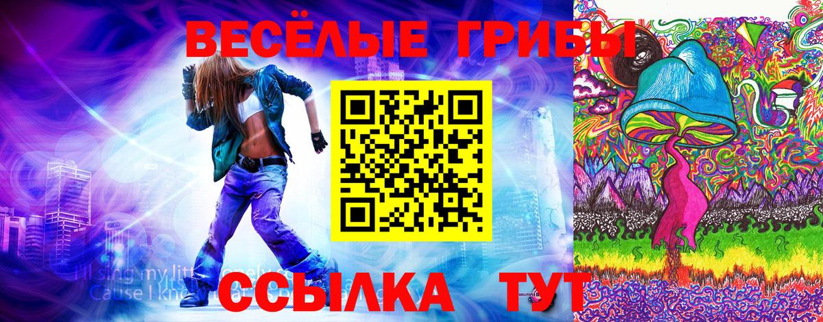 Псилоцибиновые грибы мицелий Обь