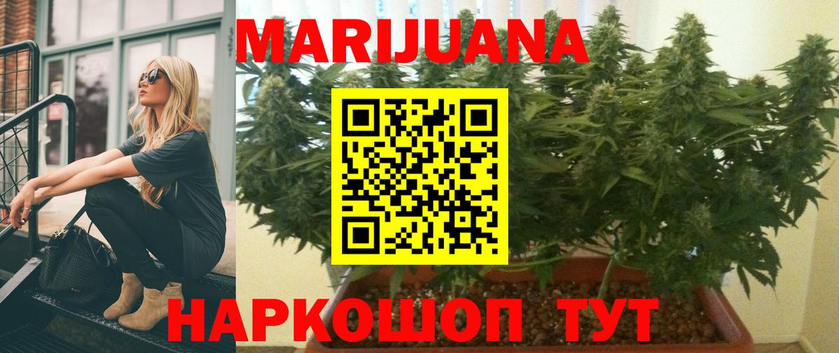 Обь  Бошки Шишки MAZAR  Вход с VPN  Марихуана SATIVA & INDICA  Марихуана SATIVA & INDICA  Конопля Bruce Banner 